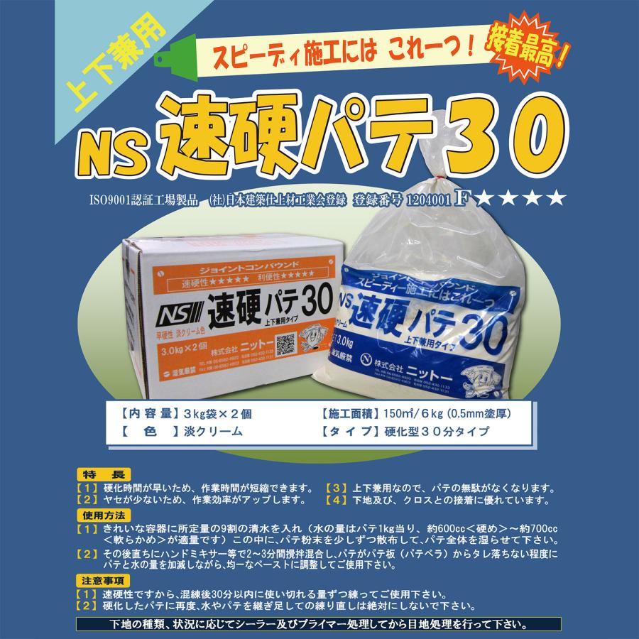 ニットー 上下兼用 NS 速硬パテ30 6kg 1箱 3kg×2袋 050330｜補修・接着
