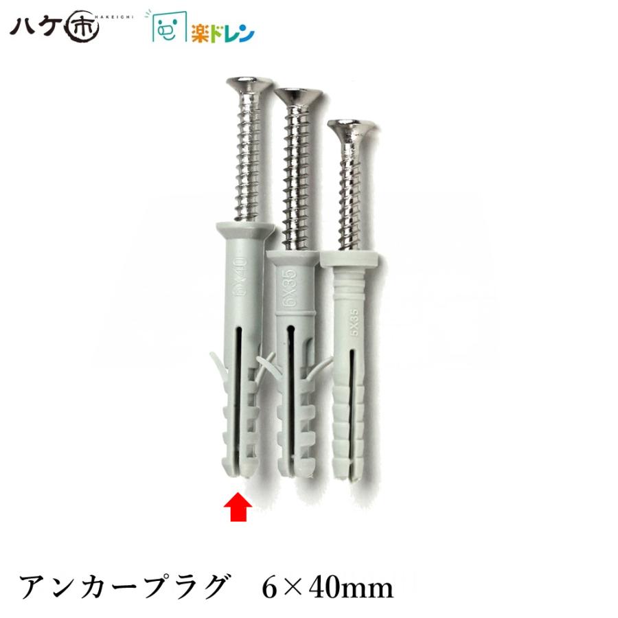 楽ドレン アンカープラグ 6×40mm(ネジM4×40) 100本入 : ハケ市