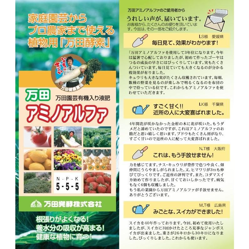 万田アミノアルファ １００ｍｌ Manda026 発酵食品愛好会 通販 Yahoo ショッピング