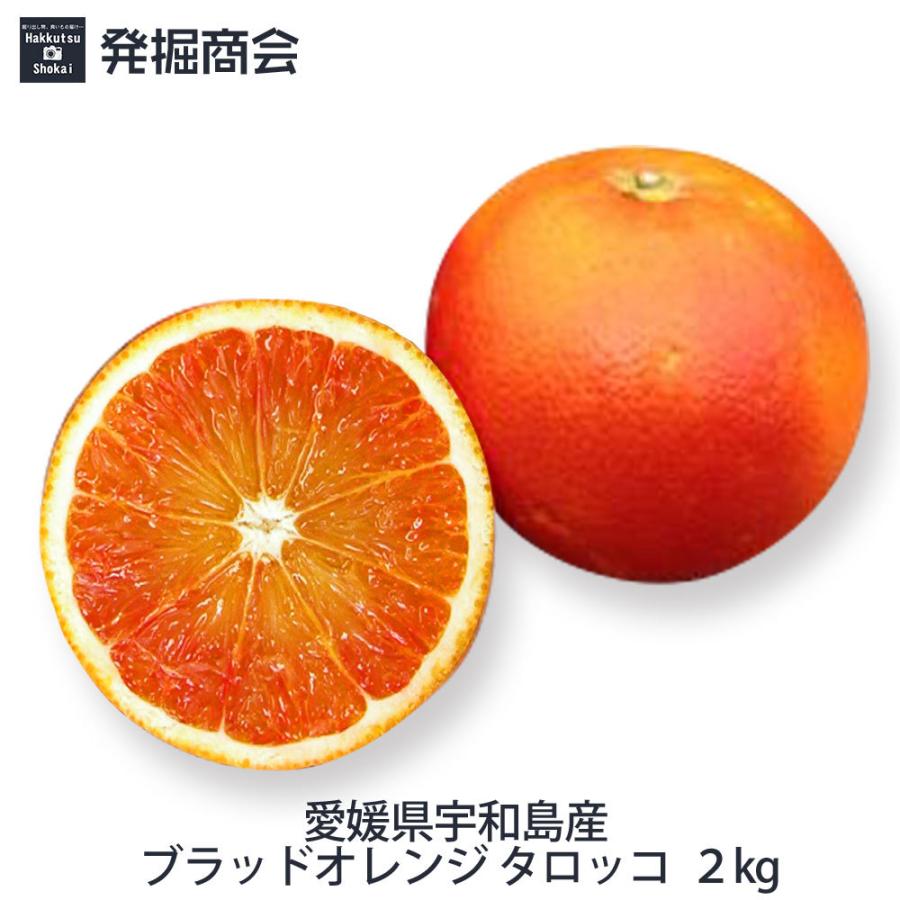 ブラッドオレンジ タロッコ 約2kg 国産 愛媛県 宇和島産 みかん ブラッドオレンジ タロッコ 約2kg 国産 愛媛県 宇和島産 みかん