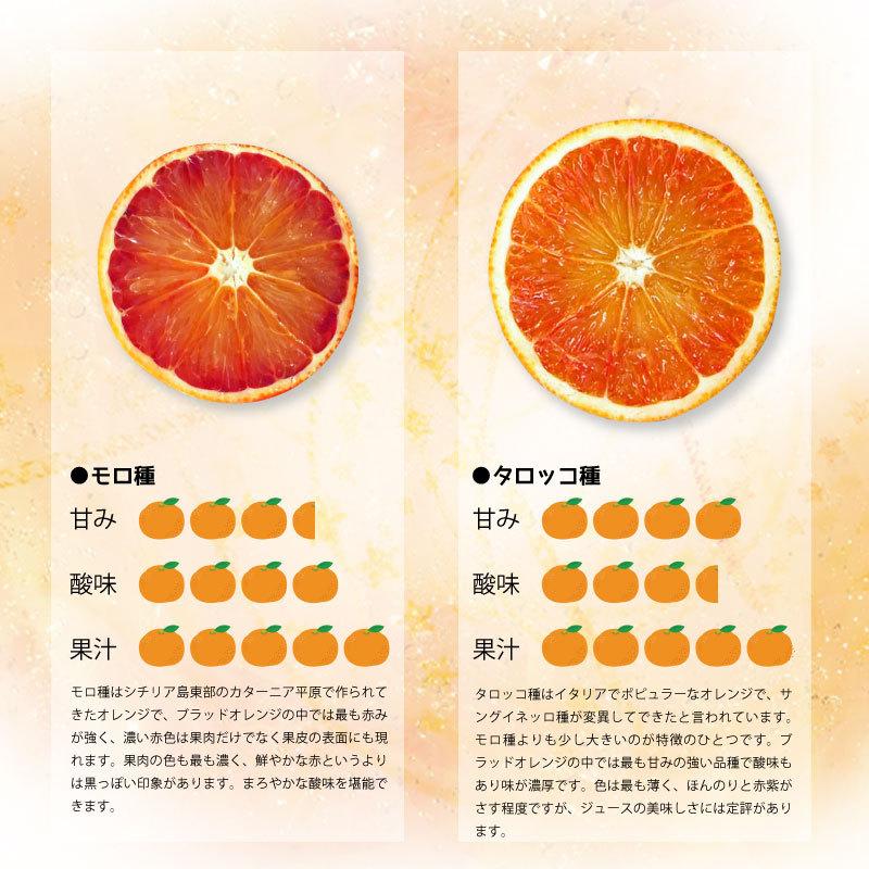 ブラッドオレンジ タロッコ 約2kg 国産 愛媛県 宇和島産 みかん ブラッドオレンジ タロッコ 約2kg 国産 愛媛県 宇和島産 みかん