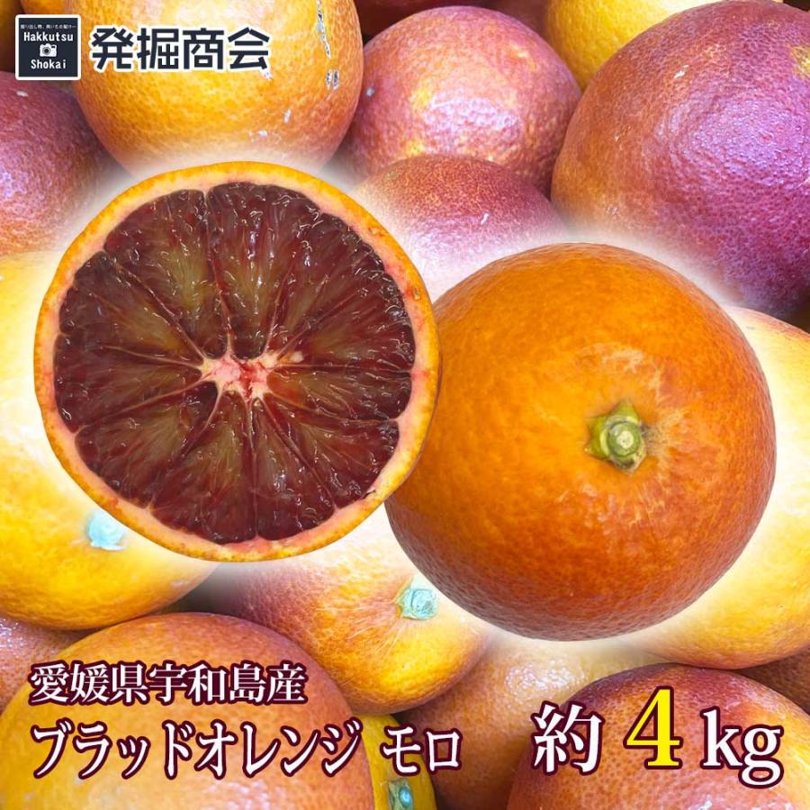 ブラッドオレンジ モロ 約4kg 愛媛県 宇和島産 数量限定 : 発掘 ブラッドオレンジ モロ 約4kg 愛媛県 宇和島産 数量限定 : 発掘