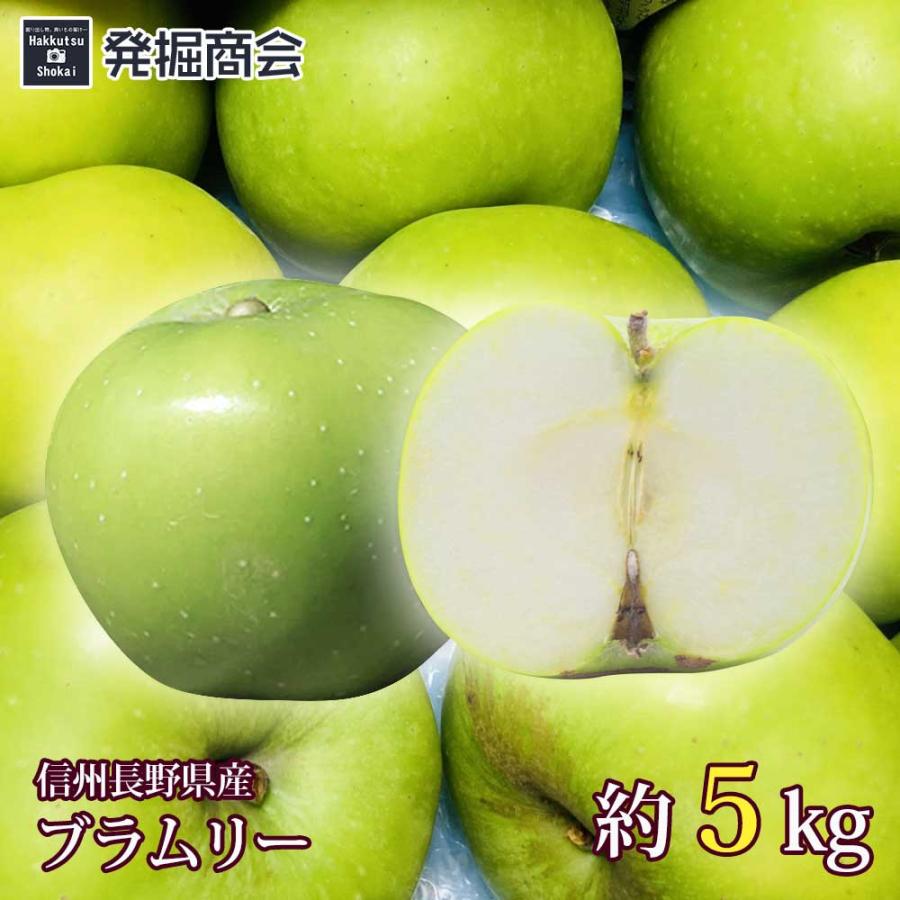 長野産りんごブラムリーアップル青色 酸味 箱込5キロ大玉 予約受付中!!9月上旬頃発送予定】信州 長野県産 ブラムリー 約5kg