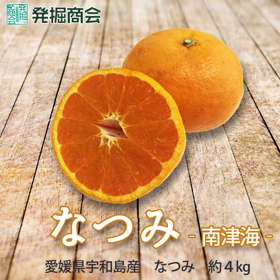 なつみ 約4kg みかん 愛媛県 宇和島産 大きさミックス : 発掘商会 