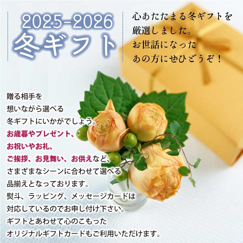 りんご サンふじ 約3kg 2025年収穫 信州 長野県産 ギフト お歳暮