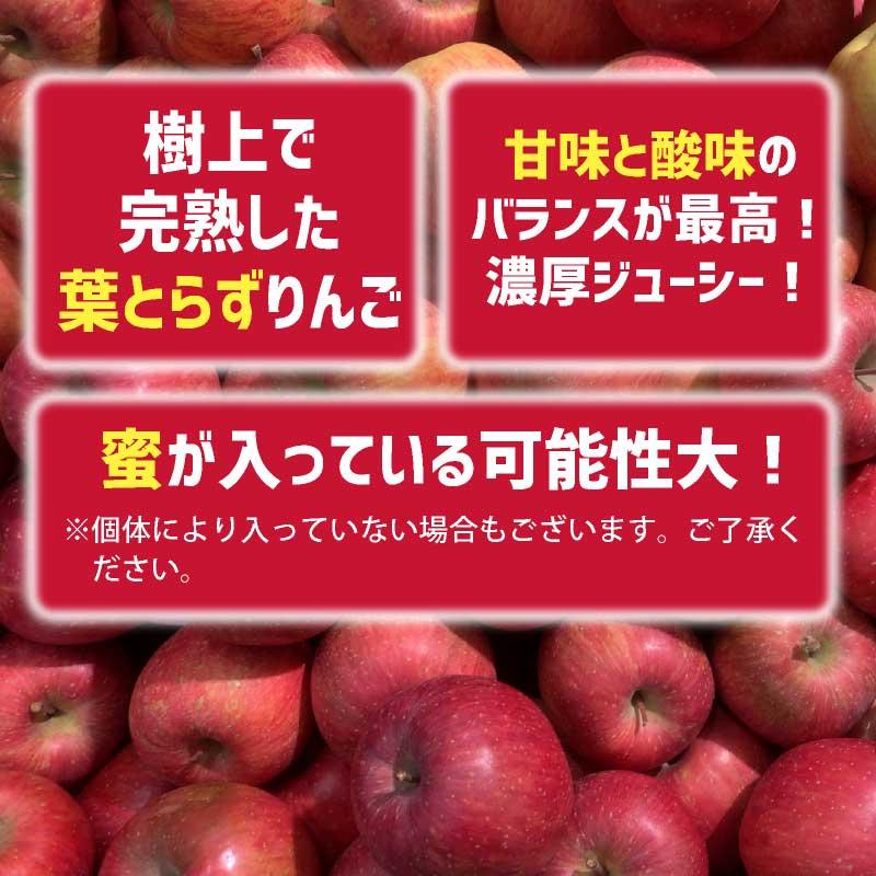 しおむすび様用希少わら敷サンふじ家庭用B品質 長野産箱込約10kg+指定