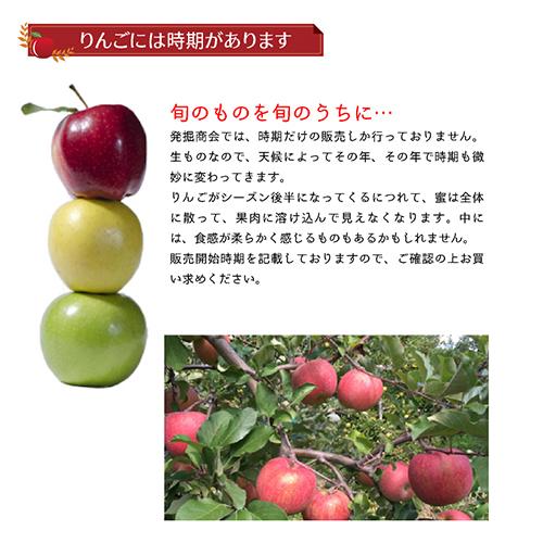 りんご 秋映 約3kg 2025年収穫 信州 長野県産 期間限定 あきばえ