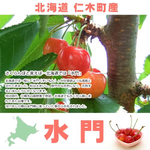 さくらんぼ 水門 1kg(500g×2パック) 北海道 仁木町産 大きさミックス