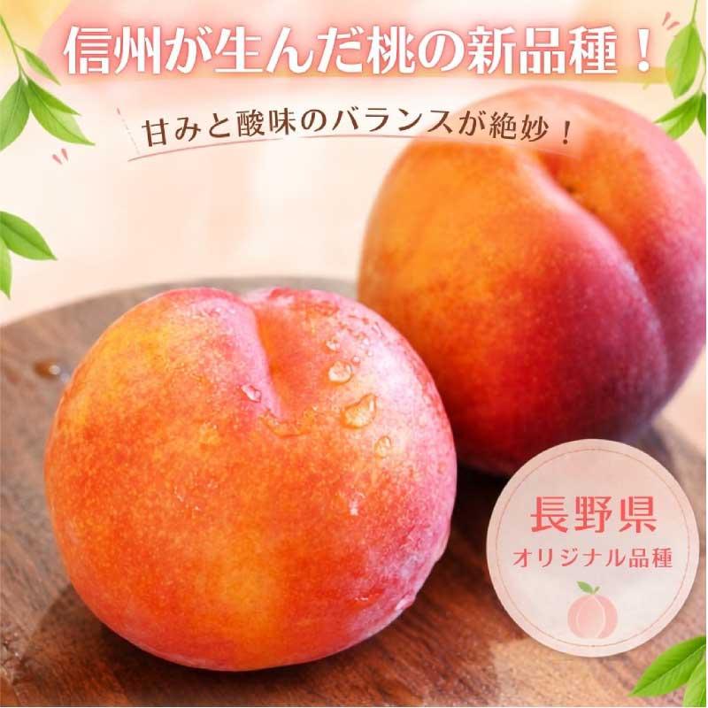 ワッサー】 約3kg 8個前後 桃 信州 長野県産 大きさミックス 期間