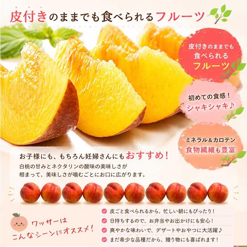 ワッサー】 約3kg 8個前後 桃 信州 長野県産 大きさミックス 期間