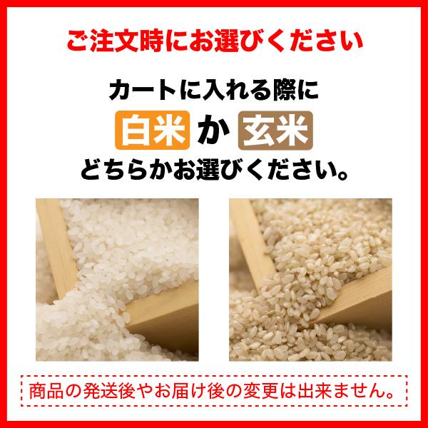 白石農園 北海道産 ふっくりんこ 10kg お米 令和3年産 籾まま貯蔵米／白石農園の籾まま貯蔵しているお米をお届けします。｜hako-marche｜02
