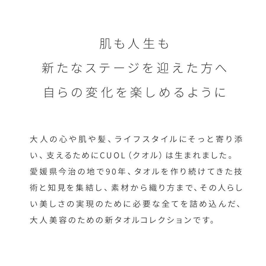 【枕カバーではじめるスキンケア / 無地グレー】今治タオル　枕カバー　スキンケア　抗菌防臭　摩擦レス　ハートウエル　ギフト　日本製　送料無料　125936｜hako-uri｜04