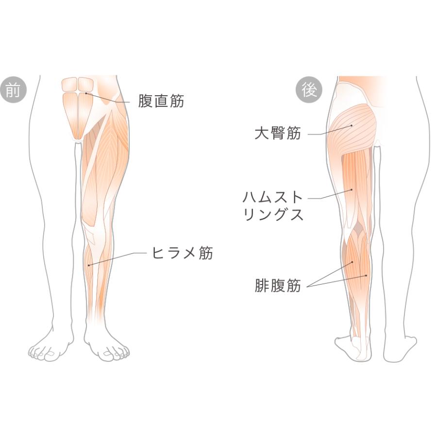＆MEDICAL KAMOLEG 3.0 STONE GRAY L（24.5〜26.0cm） : Qutia - 通販