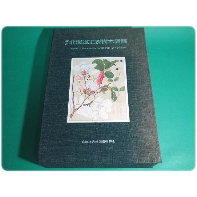 美品/覆刻 北海道主要樹木図譜 宮部金吾 工藤祐瞬 北大/aa3912