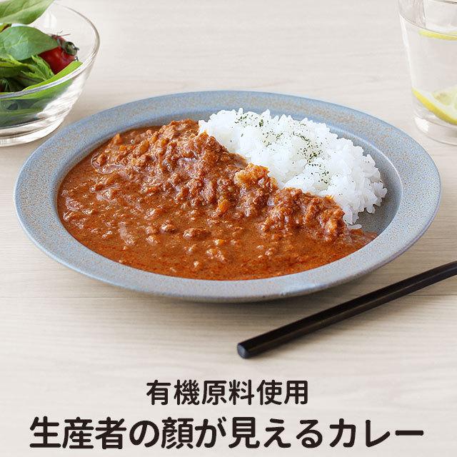 鶏ひき肉と野菜のカレー 160g 5食セット 有機原料使用 レトルト 甘口 送料無料 H 橙商店 通販 Yahoo ショッピング