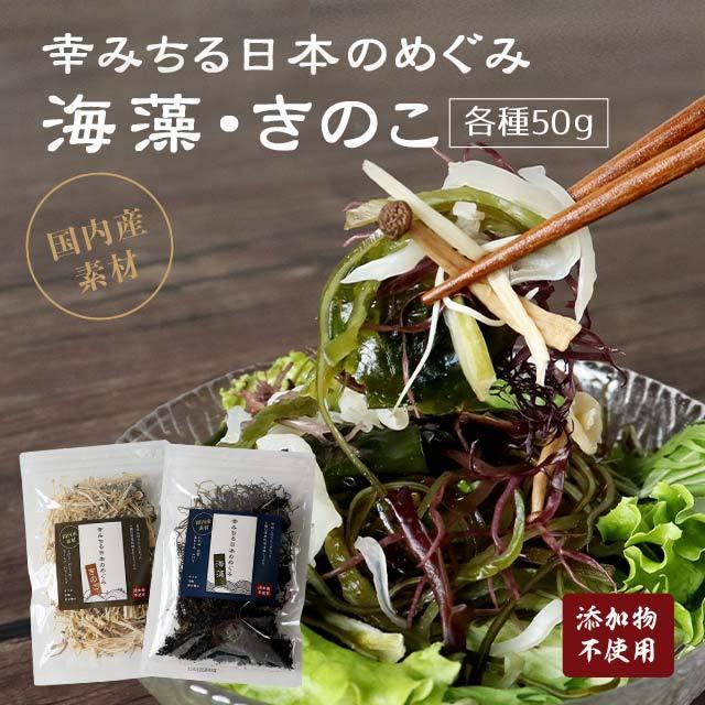 海藻 きのこ 乾燥 各種50gセット 国産 えのき ぶなしめじ きくらげ わかめ こんぶ 送料無料 H 橙商店 通販 Yahoo ショッピング