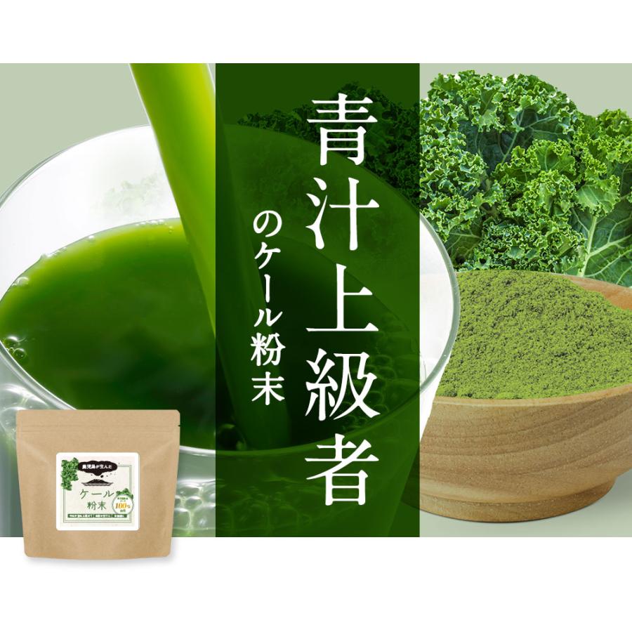 ケール 粉末 100g 青汁 ケールパウダー ケール青汁 加熱殺菌加工済