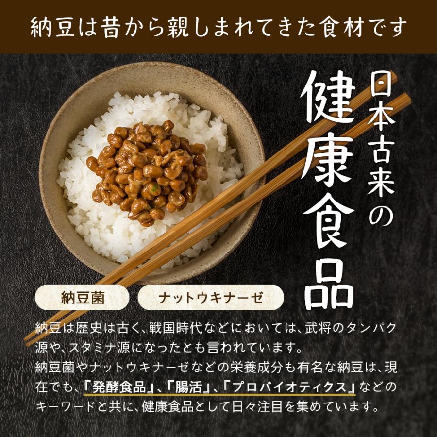 粉納豆 納豆パウダー 85g きんの粉なっとう 納豆粉 納豆粉末 粉末納豆