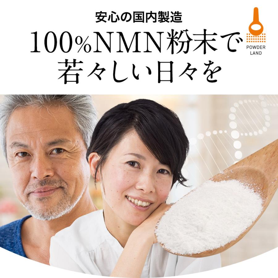 NMN パウダー 80g 粉末 高純度 ニコチンアミドモノヌクレオチド NMN パウダー 80g 粉末 高純度 ニコチンアミドモノヌクレオチド