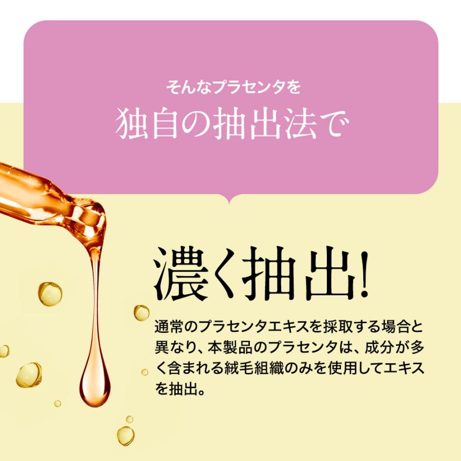 プラセンタパウダー PLACENTA POWDER | Shebelle（シーベル）[代官山・新宿・福岡天神