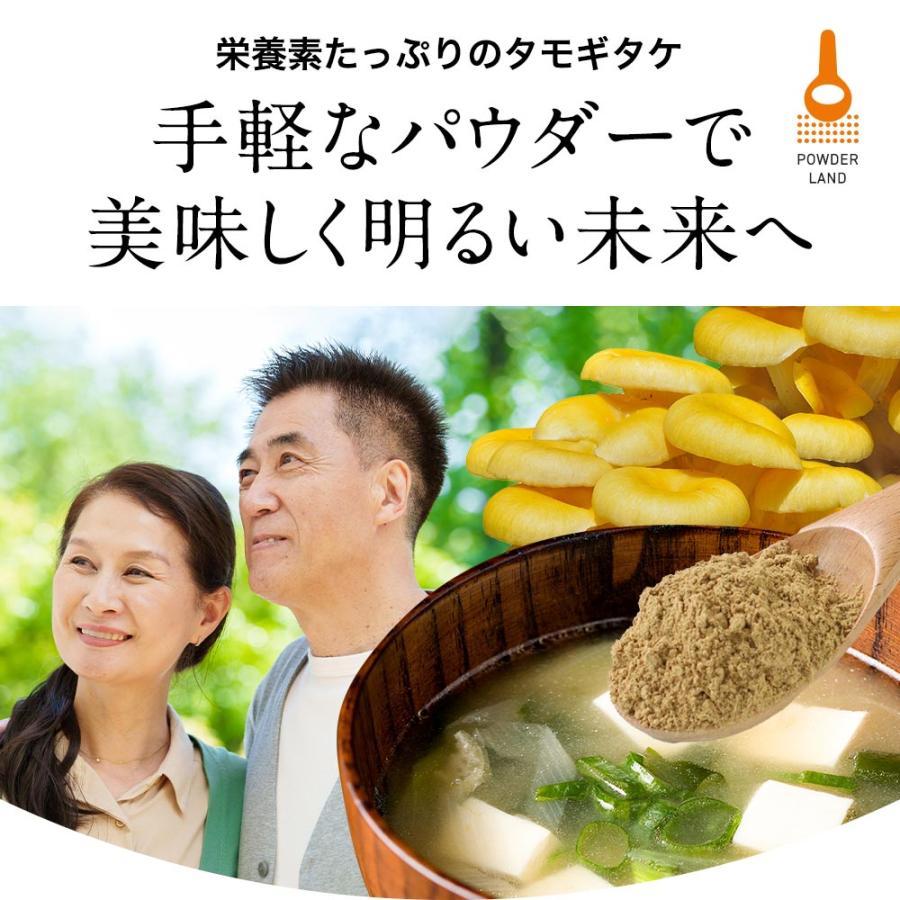 タモギタケ パウダー 100g 国産 100％ タモギタケ粉末 たもぎ茸 たも