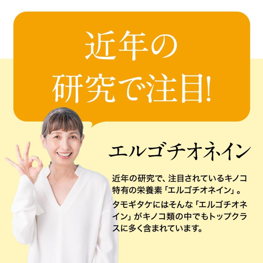タモギタケ パウダー 100g 国産 100％ タモギタケ粉末 たもぎ茸 たも