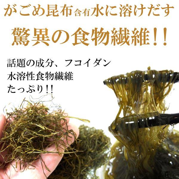 がごめ昆布 細切り 50g 刻みがごめ昆布 函館産 フコイダン高含有 わけあり無し｜hakodate-e-kombu｜02