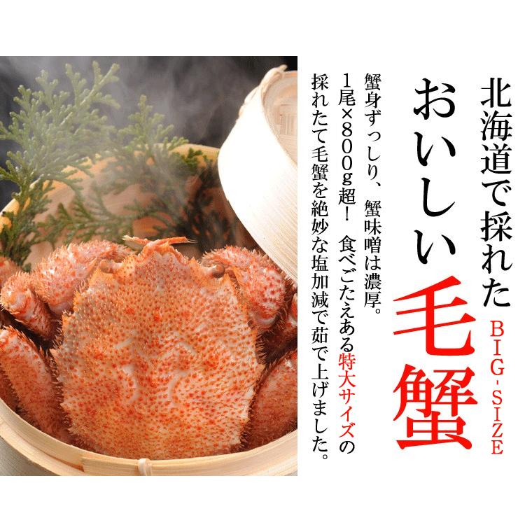 毛ガニ 特大4尾 送料無料 北海道産 3.2kg強(特大800g×4尾) ボイル冷凍  