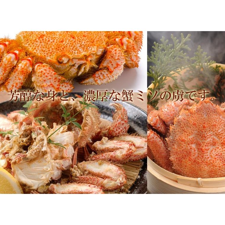 毛ガニ 1kg半 送料無料 北海道産 1.5キロ強(500g強×3杯) ボイル