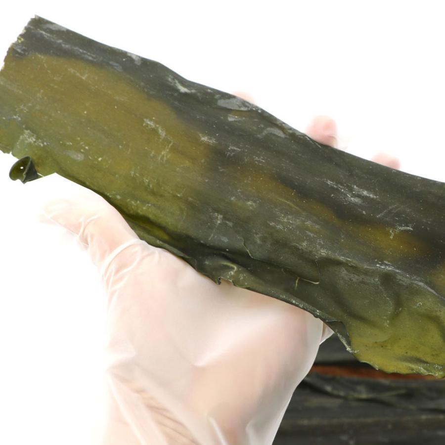 函館えさん昆布の会 だしこんぶ お徳用 30cm カット 1kg (1キロ) 業務