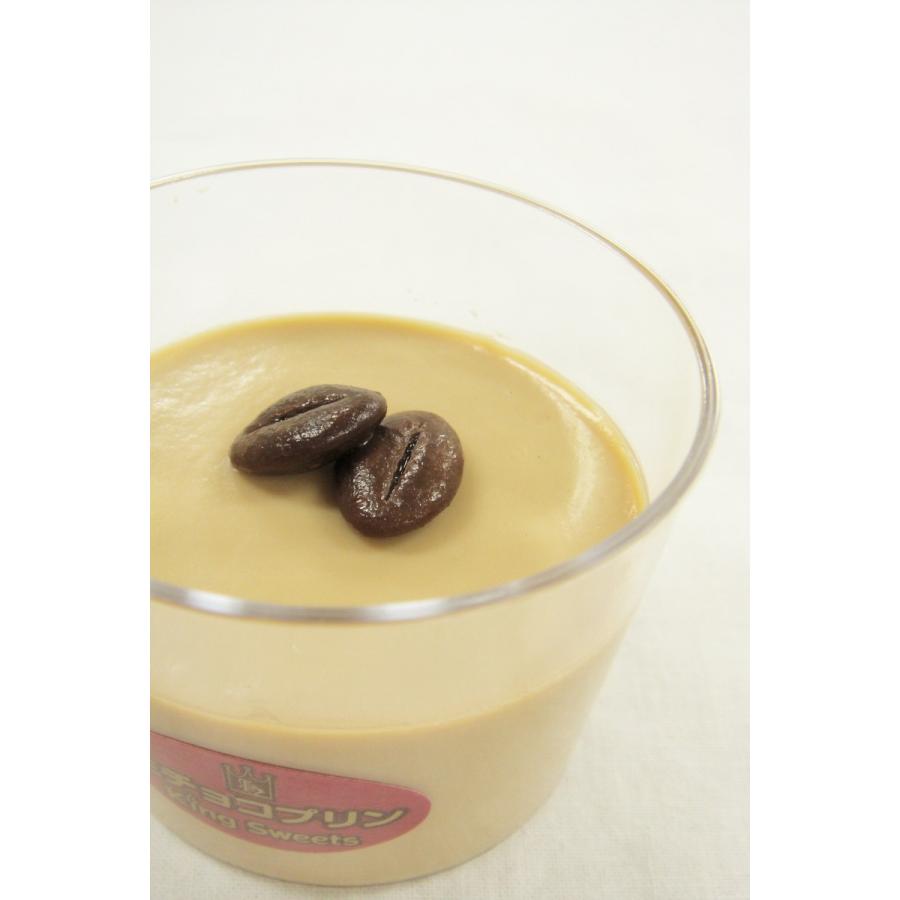 ちょっぴりほろ苦い 濃厚チョコプリン 「生チョコプリン コーヒー」 北海道産生クリーム 生菓子 お取り寄せスイーツ 函館キングベーク【Ｃ：冷凍便】 |  | 01