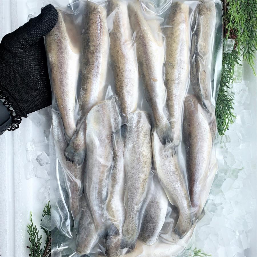 生干しこまい 1kg 北海道産 コマイ 干物 一夜干し 氷下魚 干し魚 真空パック Komai はこだて朝市マルヨ 通販 Yahoo ショッピング