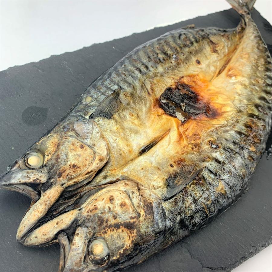さば 開き 大サイズ 干し魚 肉厚 とろサバ 開き 鯖 サバ 一夜干し Saba はこだて朝市マルヨ 通販 Yahoo ショッピング