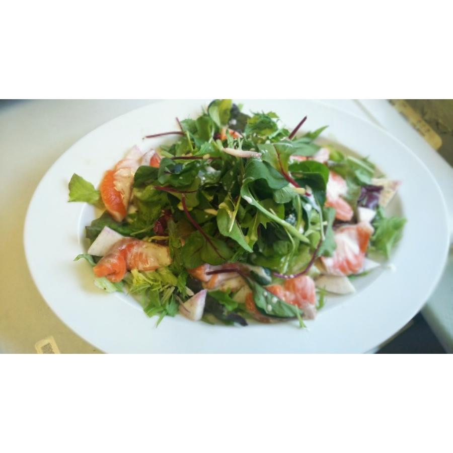 お刺身とろサーモン１本 約550g 600g位 サケ 鮭 サーモン Samon 1 はこだて朝市マルヨ 通販 Yahoo ショッピング