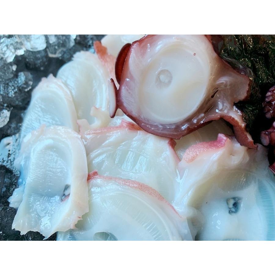 ミズダコ たこ足 1ｋ 刺身用ボイル済 真空 北海道産 Takoasi はこだて朝市マルヨ 通販 Yahoo ショッピング