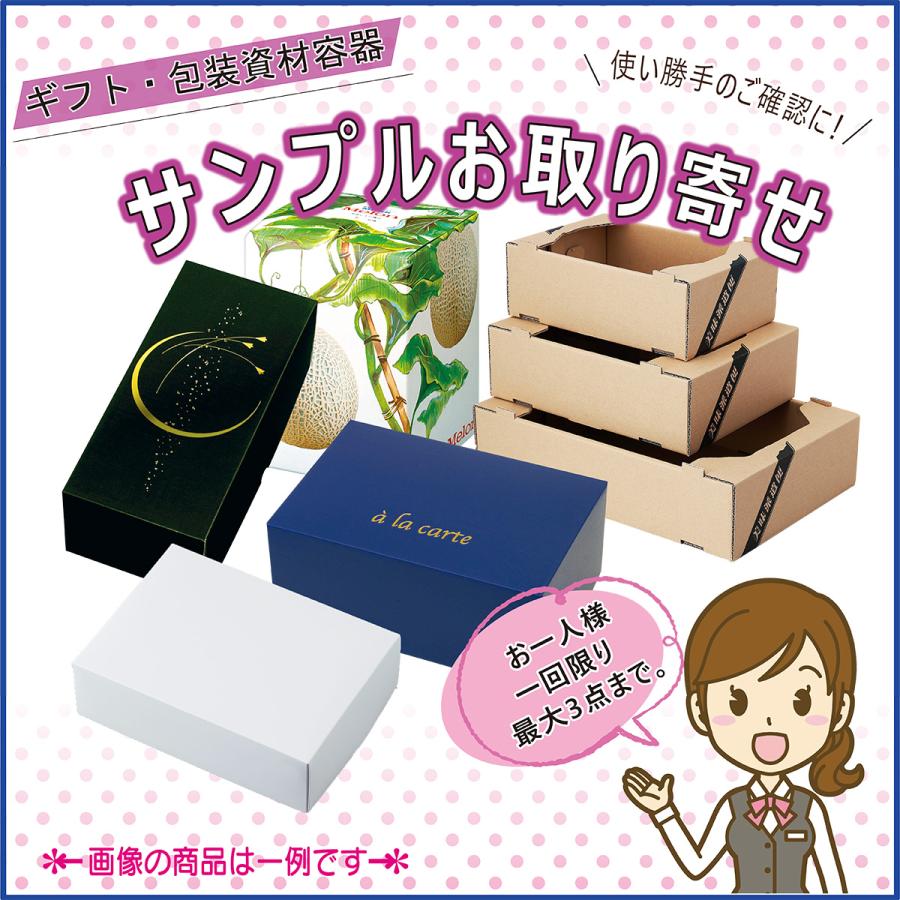 お一人様1回限り】お試しセット ギフト用化粧箱 果物箱 贈答用ケース フルーツ  手提箱 梱包資材 ぶどう マスカット メロン りんご マンゴー  いちご 　　 | 