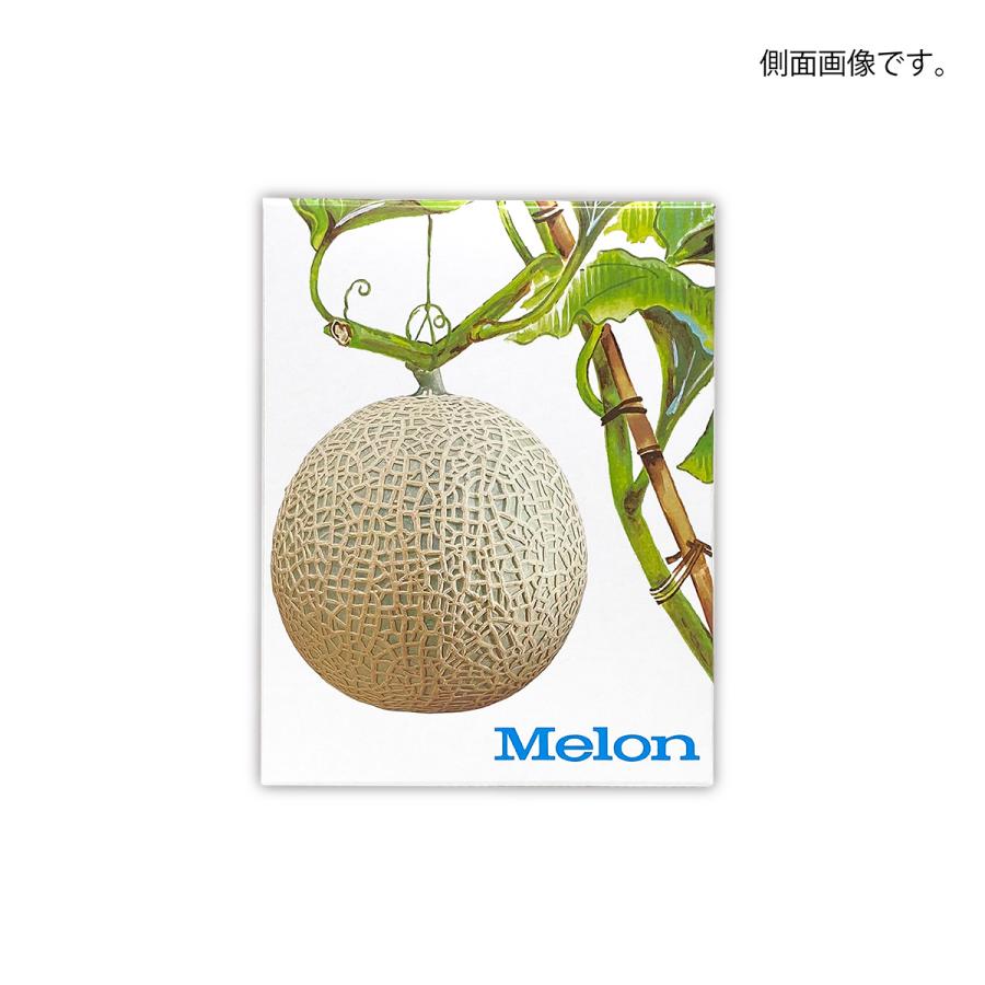 メロンギフト用化粧箱 メロン1個入イラスト 果物箱 プレゼントボックス