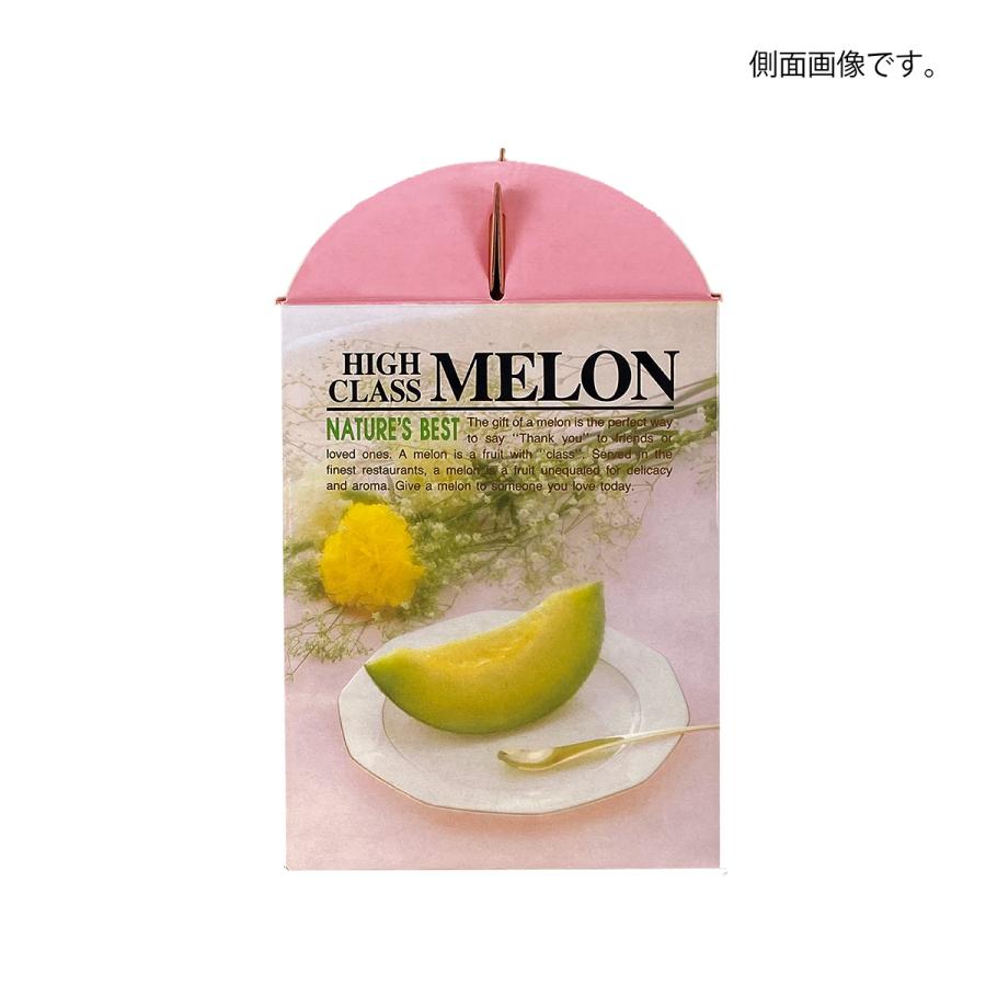 メロンギフト用化粧箱 ハンドセリーズ 1ヶ入 手提箱 果物箱