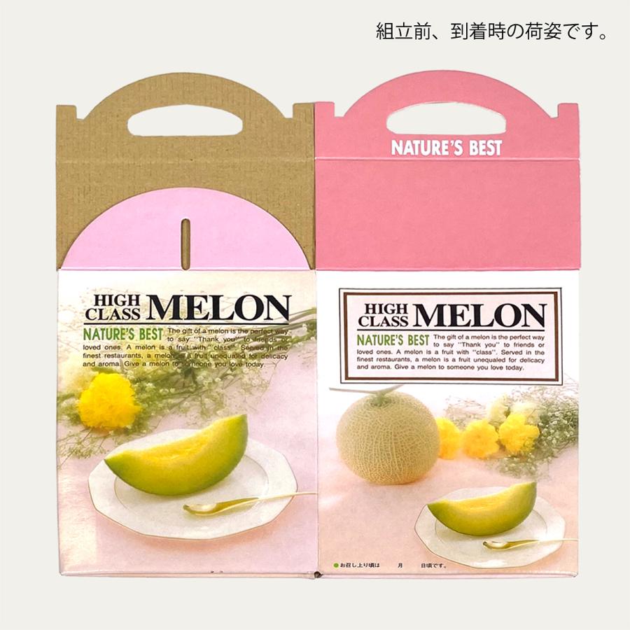 メロンギフト用化粧箱 ハンドセリーズ 1ヶ入 手提箱 果物箱