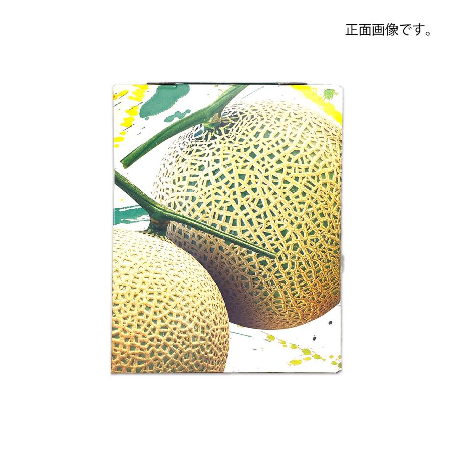 メロンギフト用化粧箱 飛翔メロン 1ケ入 手提箱 果物箱 プレゼント