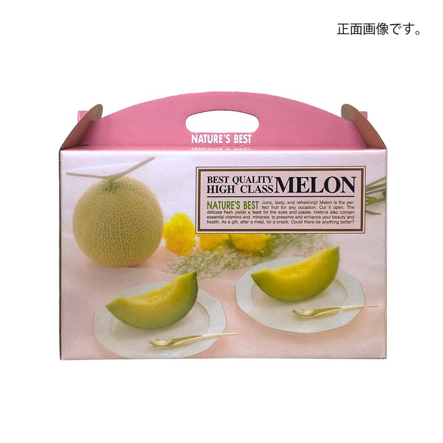 メロンギフト用化粧箱 ハンドセリーズ 2ヶ入 手提箱 果物箱
