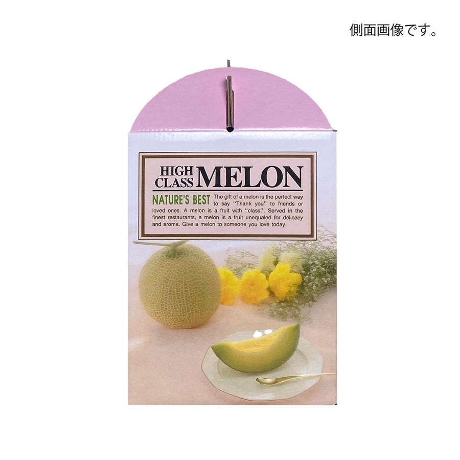 メロンギフト用化粧箱 ハンドセリーズ 2ヶ入 手提箱 果物箱