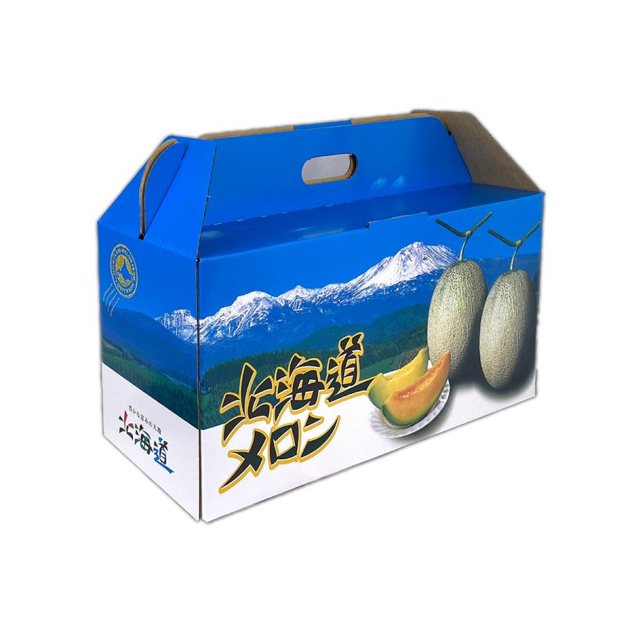 メロンギフト用化粧箱 北海道メロン D3 3ヶ入 手提げ箱 果物箱