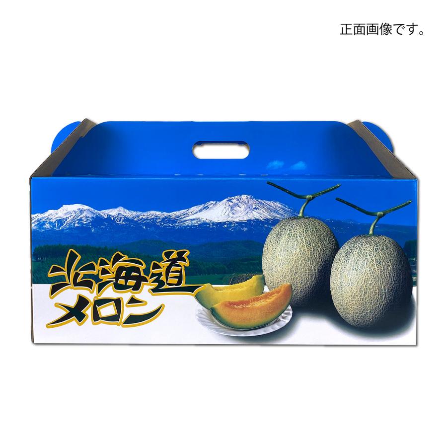 メロンギフト用化粧箱 北海道メロン D3 3ヶ入 手提げ箱 果物箱
