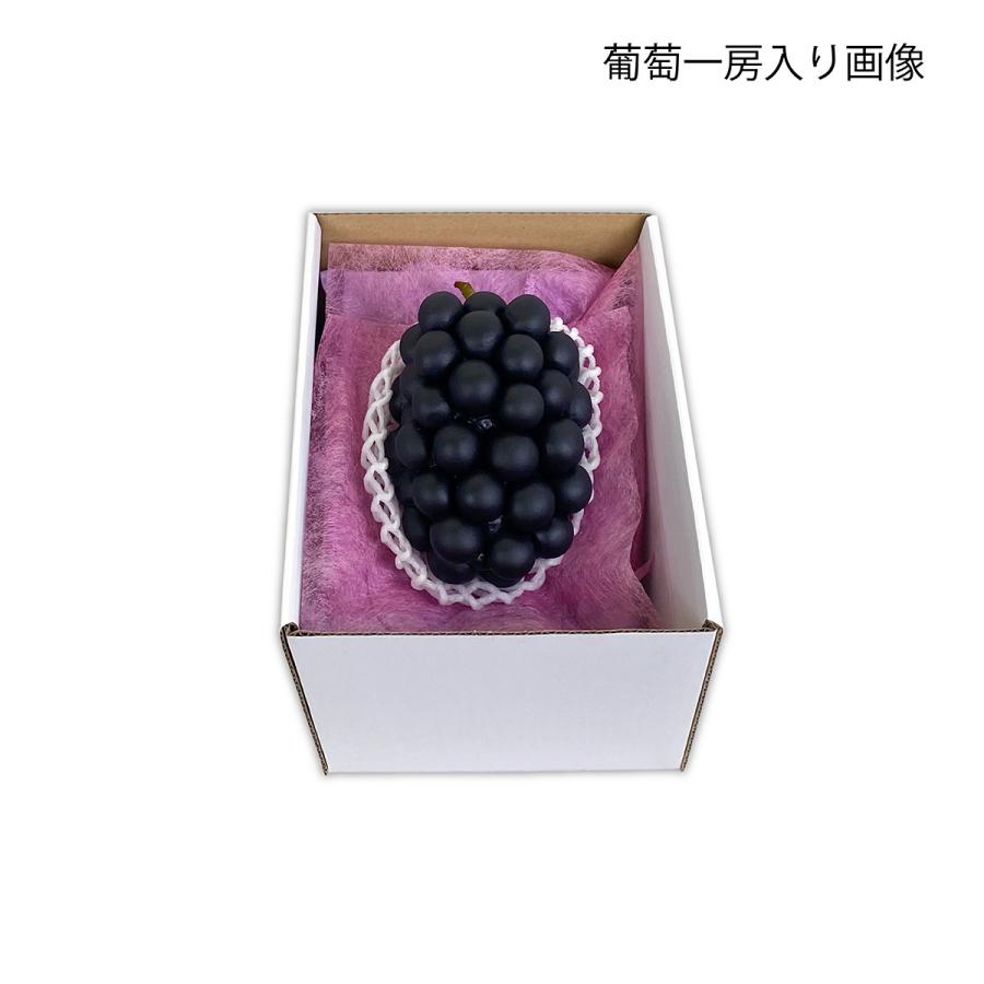 ブドウ・シャインマスカットギフト用化粧箱 おもてなし箱 プレゼントボックス 贈答ケース 葡萄 ぶどう２房用 果物箱 包装資材 パッケージ 50枚入 （AA1325）の画像