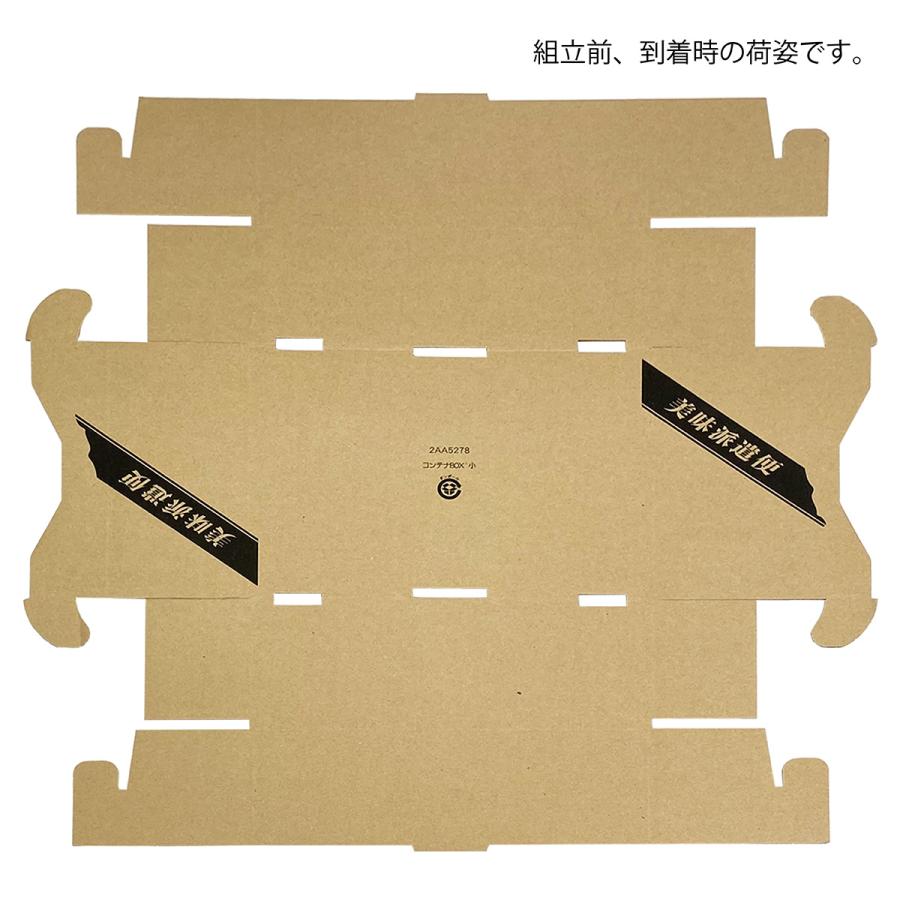 果物詰め合わせ用コンテナボックス小 果物箱 プレゼントボックス 贈答