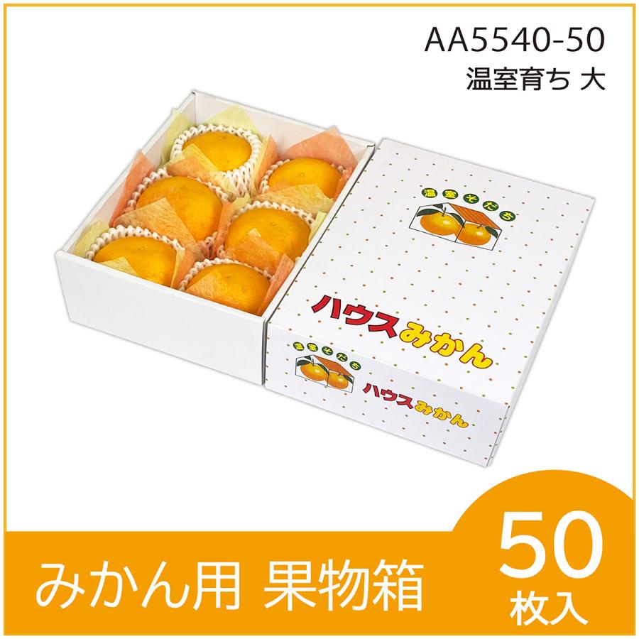 温室育ち（大） 果物箱 化粧箱 ハウスみかん プレゼントボックス 贈答