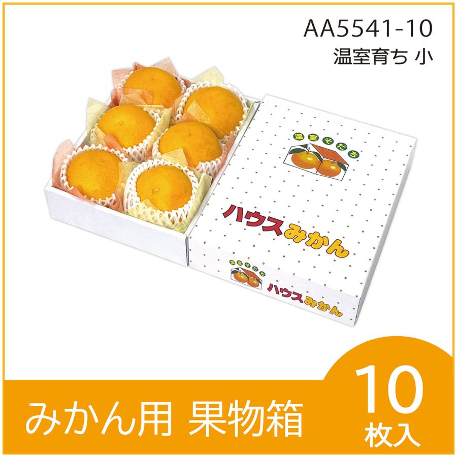 温室育ち（小） 果物箱 化粧箱 ハウスみかん プレゼントボックス 贈答