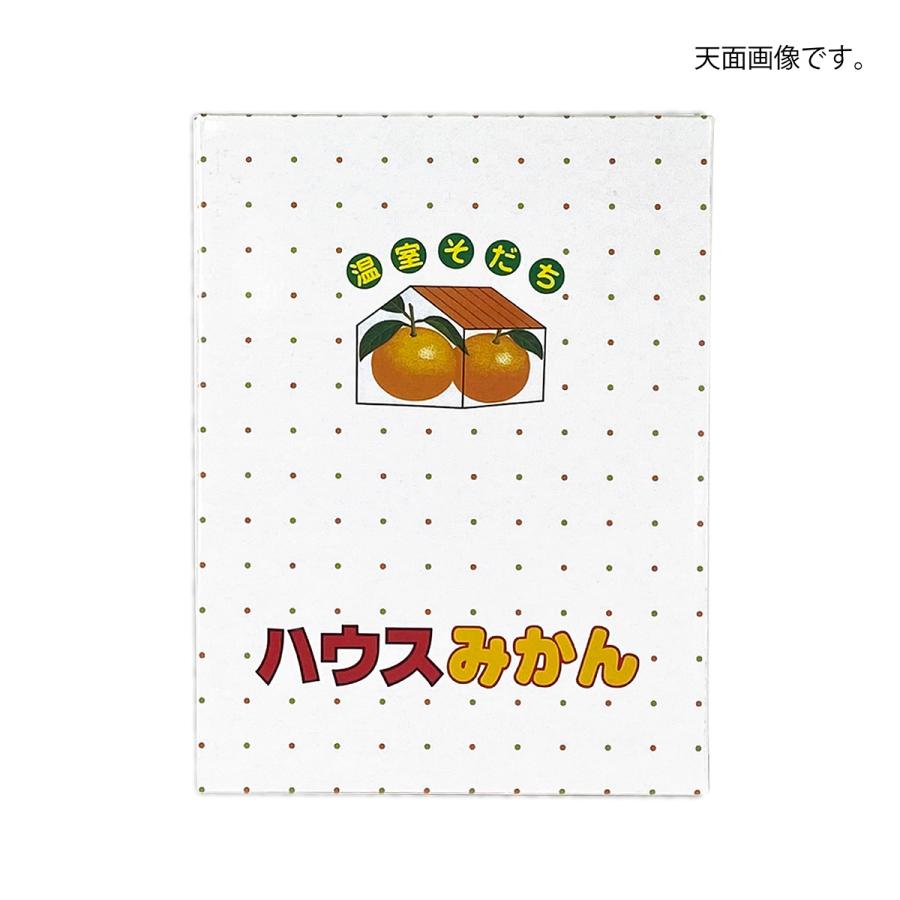 温室育ち（小） 果物箱 化粧箱 ハウスみかん プレゼントボックス 贈答