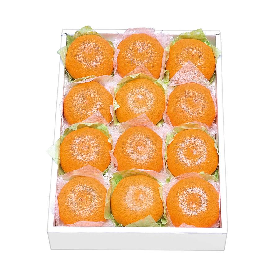 温室育ち（小） 果物箱 化粧箱 ハウスみかん プレゼントボックス 贈答
